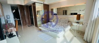 WhatsApp Image 2024 05 24 at 16.24.53 (1)