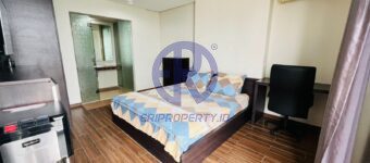 WhatsApp Image 2024 11 02 at 06.19.36 (2)